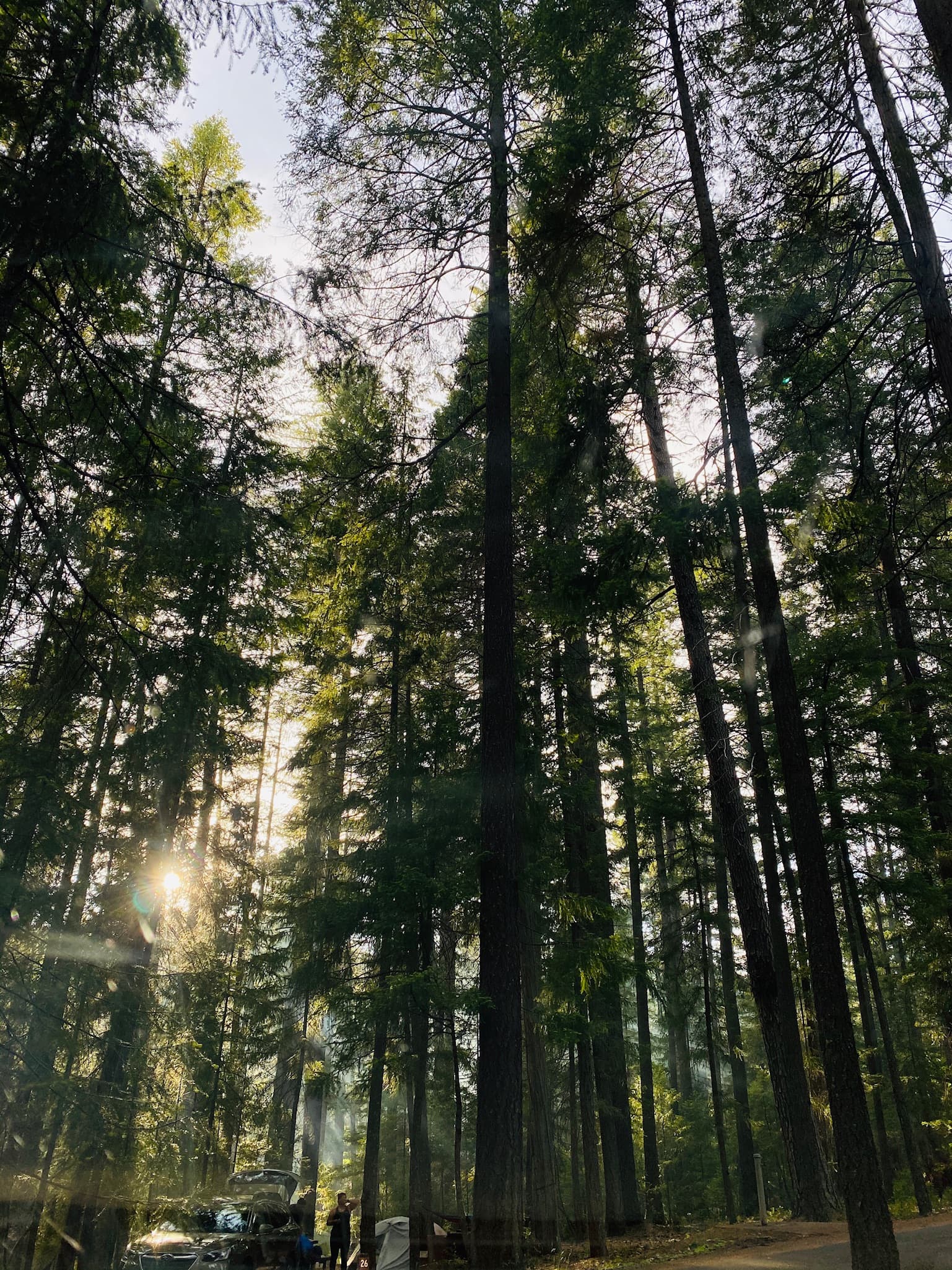 Camping Essentials Checklist: Your ready to-go packing guide